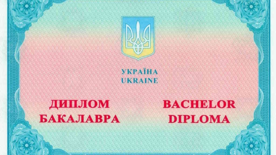 Диплом 1